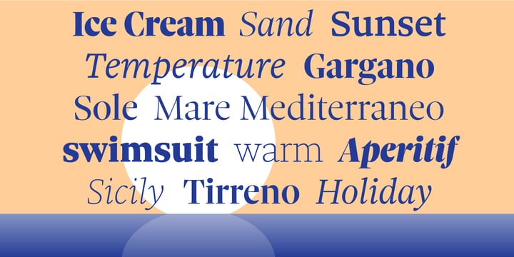 Sole Serif Font Poster 6