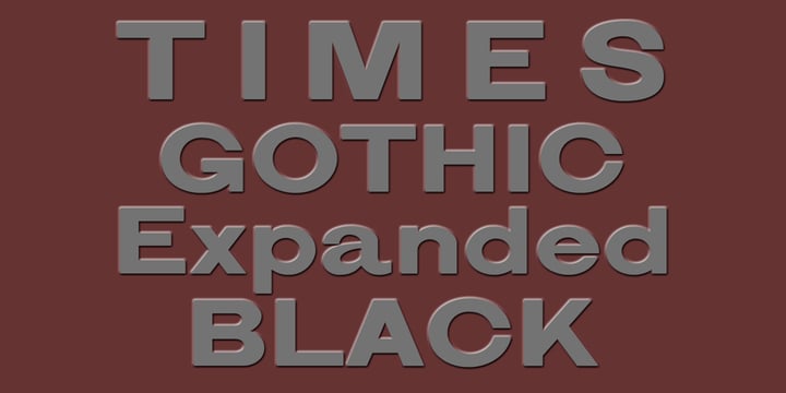 Times Gothic Font Poster 1