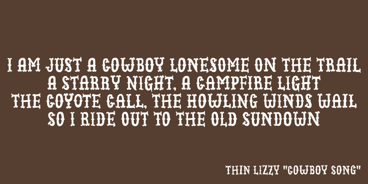 Cowboy Junk Font Poster 4