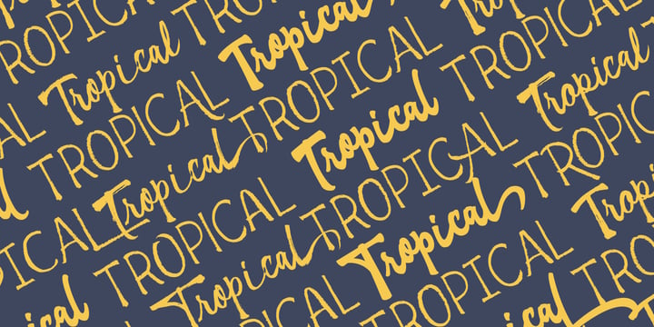 Tropical Font Poster 13