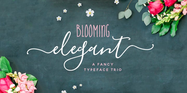 Blooming Elegant Font Poster 3