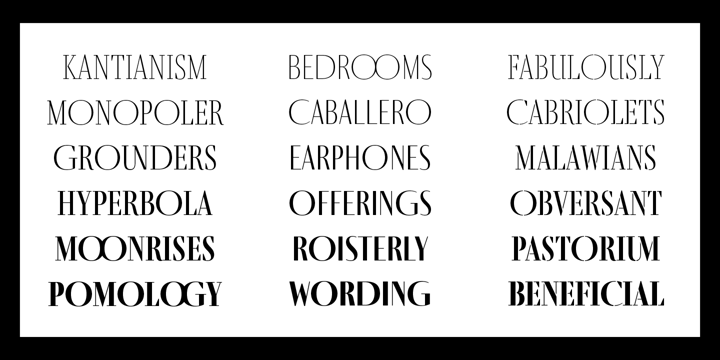 Fino Sans Font Poster 5