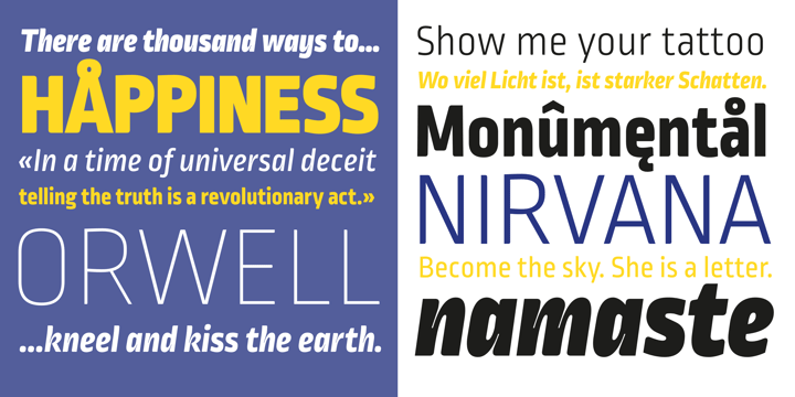 Ropa Mix Pro Font Poster 4