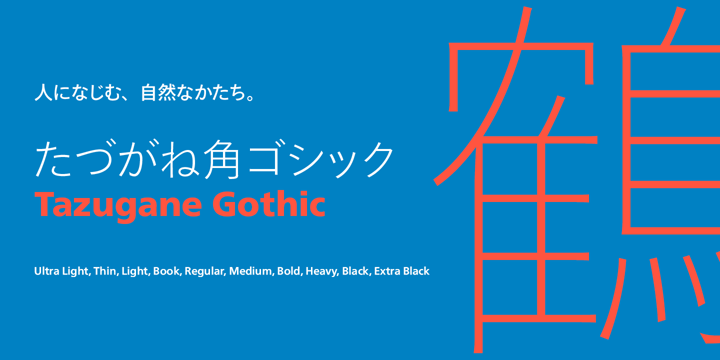 Tazugane Gothic Font Poster 4