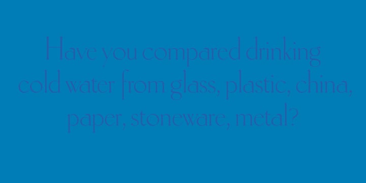 Antiqua Roman Font Poster 5