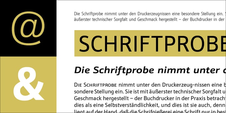 Schnebel Sans Pro Font Poster 4
