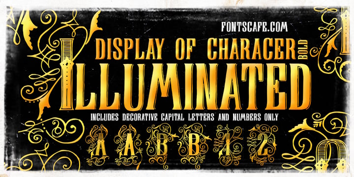 Display Of Character Font Poster 2