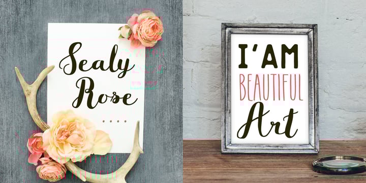 Flowy Font Poster 19
