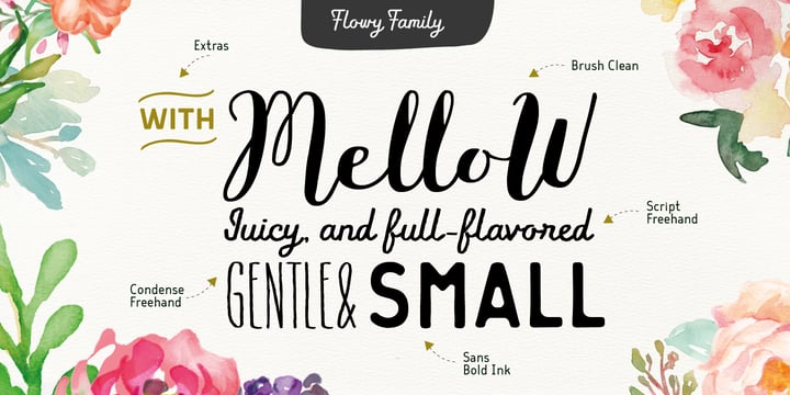 Flowy Font Poster 20