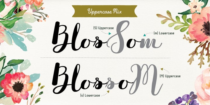 Flowy Font Poster 15