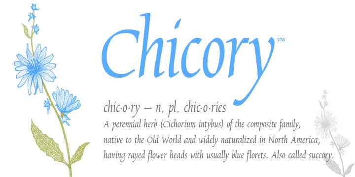 Chicory Font Poster 1