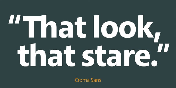 Croma Sans Font Poster 4