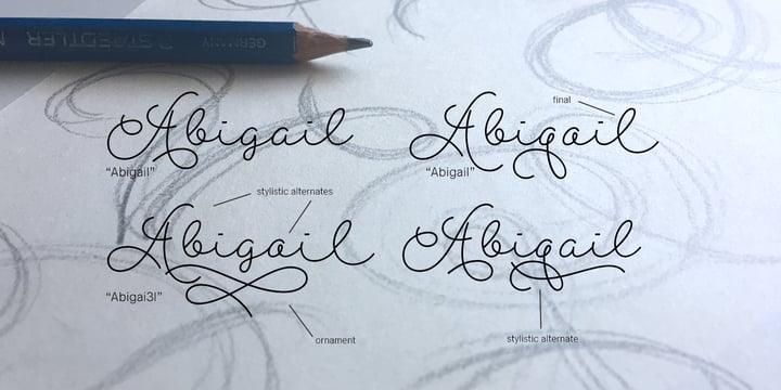 Abigail Script Font Poster 3