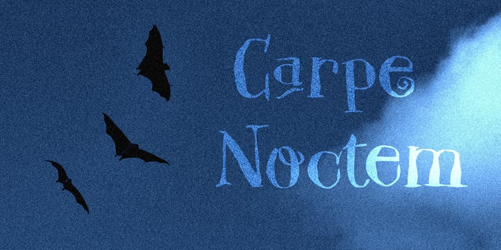 Carpe Noctem Font Poster 1