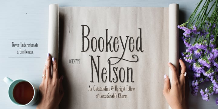 Bookeyed Nelson Font Poster 1