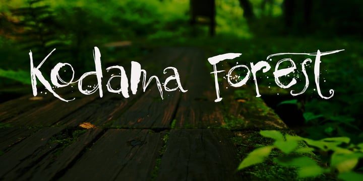 Kodama Forest Font Poster 1