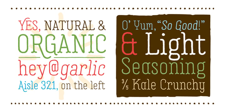 Garlic Salt Font Poster 2
