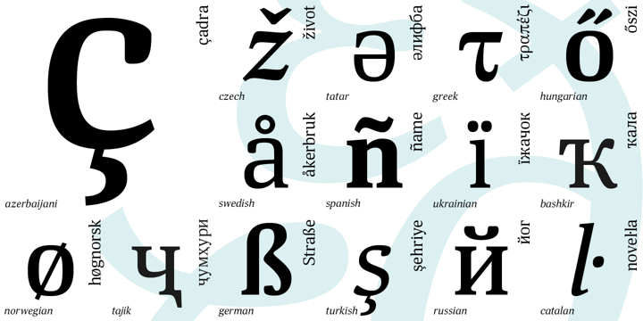 Deca Serif New Font Poster 3