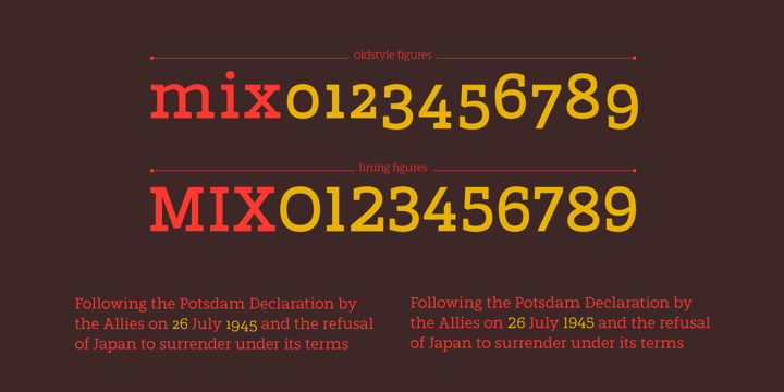Marek Slab Font Poster 6