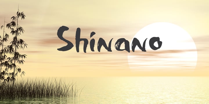 Shinano Font Poster 1