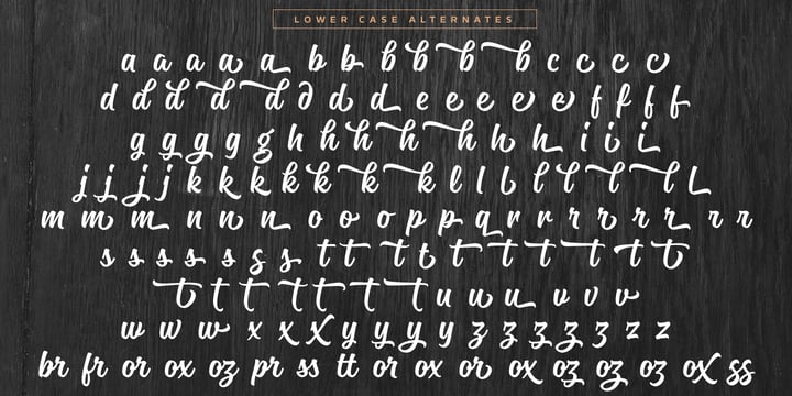 Magneton Font Poster 14