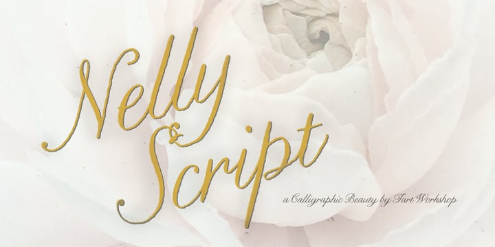 Nelly Script™