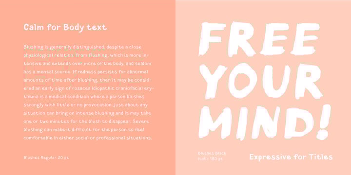 Blushes Font Poster 4