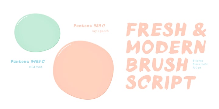 Blushes Font Poster 6