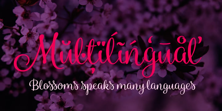 Blossoms Font Poster 10