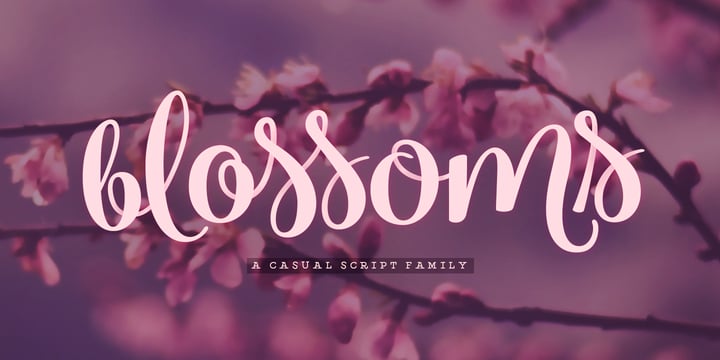 Blossoms Font Poster 3