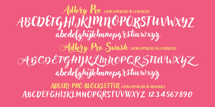 Adlery Pro Font Poster 6