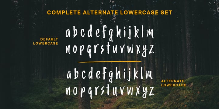 Trailmade Font Poster 6
