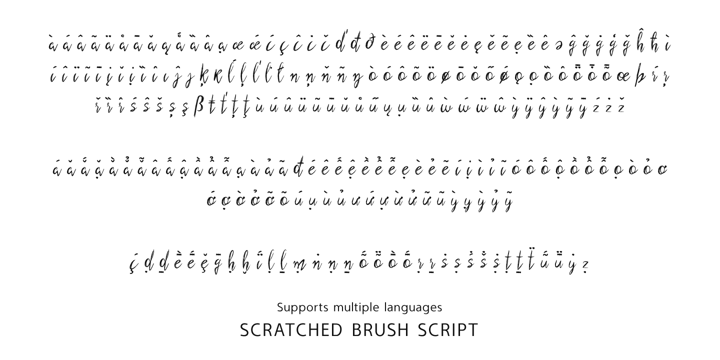 Scratched Brush Script Font Poster 6