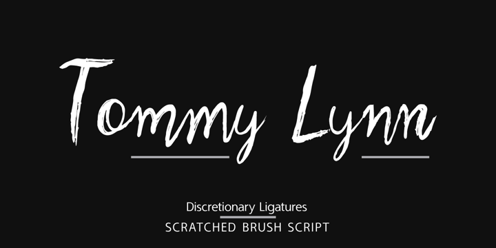 Scratched Brush Script Font Poster 4
