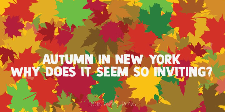 Autumn Voyage Font Poster 4