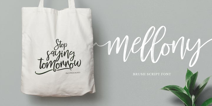 Mellony Font Poster 6