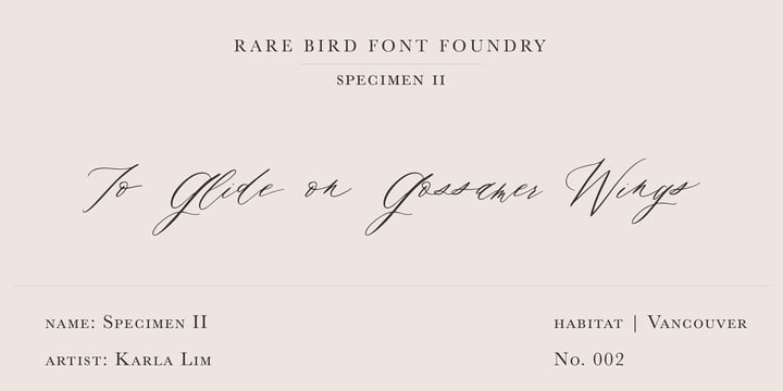 Rare Bird Specimen II Font Poster 1