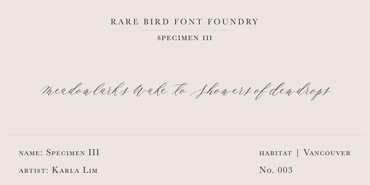 Rare Bird Specimen III Font Poster 1