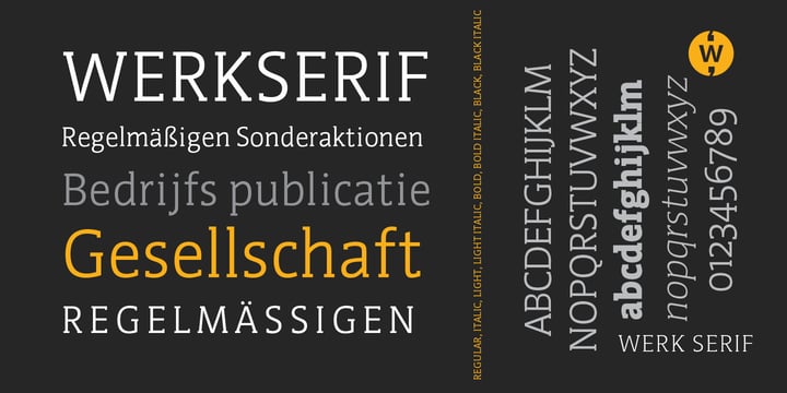 WerkSerif Font Poster 9