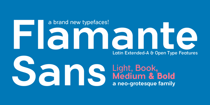 Flamante Sans Font Poster 5