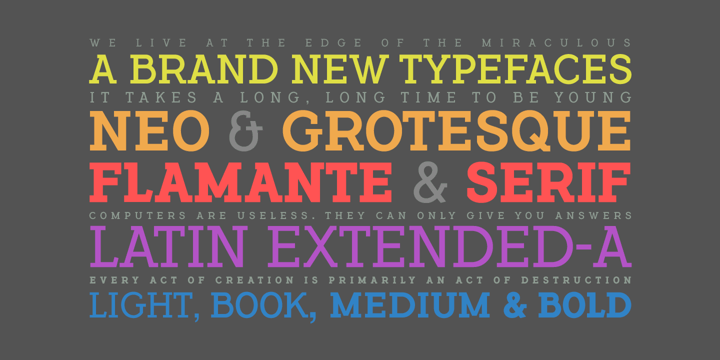 Flamante Serif Font Poster 2