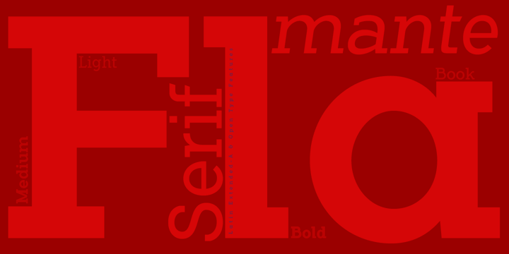 Flamante Serif Font Poster 5