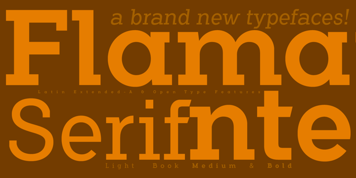 Flamante Serif Font Poster 6