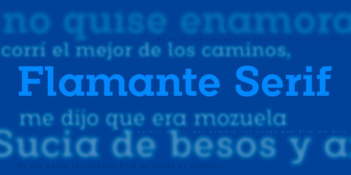 Flamante Serif Font Poster 3