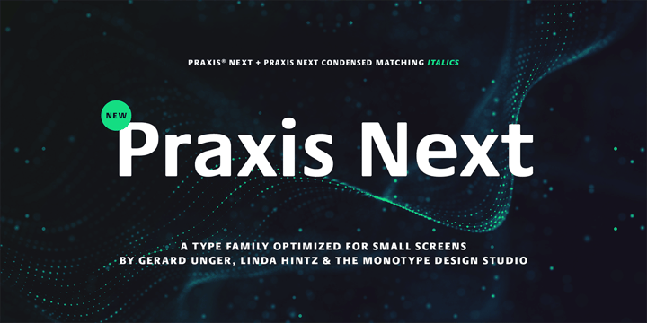 Praxis Next Font Poster 1