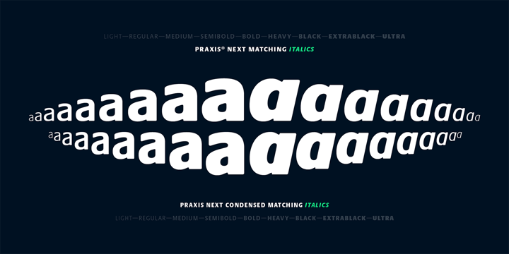 Praxis Next Font Poster 3