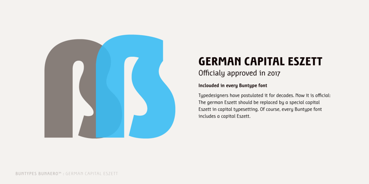Bunaero Pro Font Poster 23
