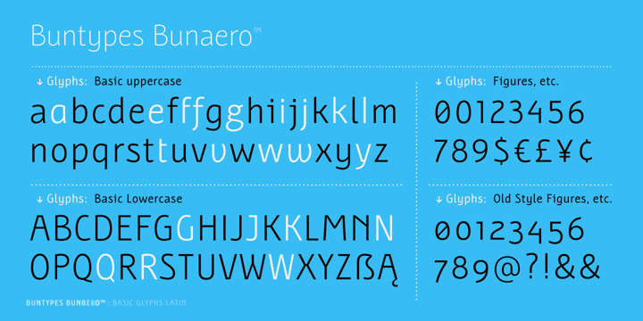 Bunaero Pro Font Poster 9