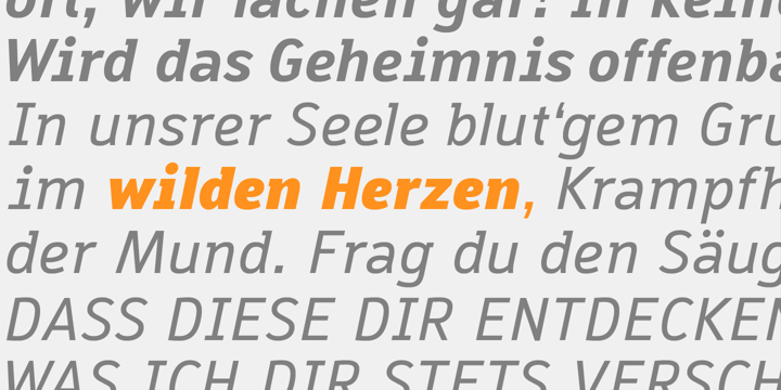 Macella Font Poster 7