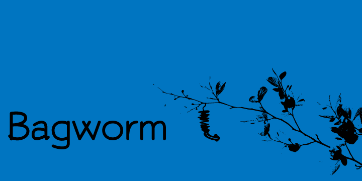 Bagworm Font Poster 1